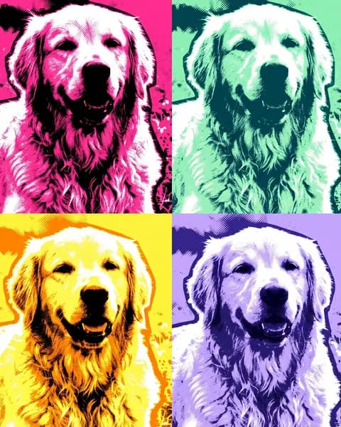 Example: a pet in the Pop Art style